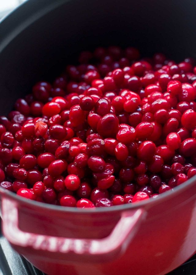 Cranberry Chutney - David Lebovitz