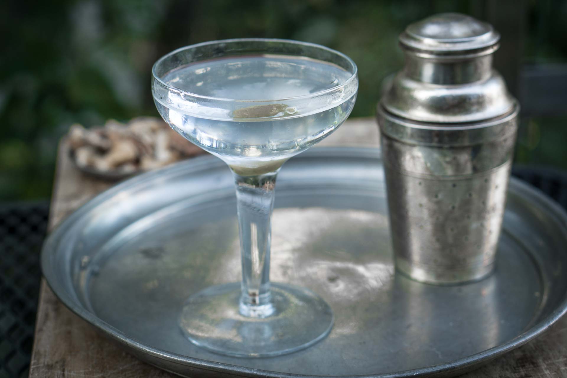 The Shaken Martini David Lebovitz