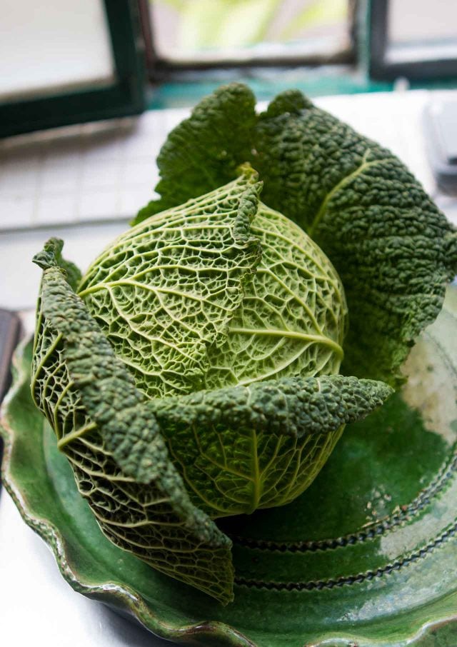 https://www.davidlebovitz.com/wp-content/uploads/2020/03/Cream-of-cabbage-soup-recipe-640x906.jpg