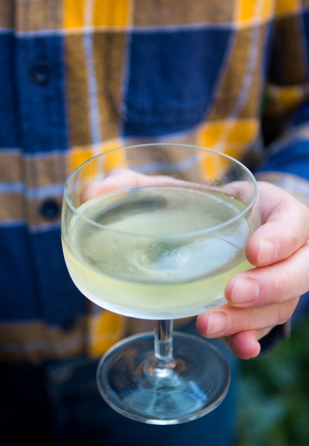 Alaska Cocktail recipe