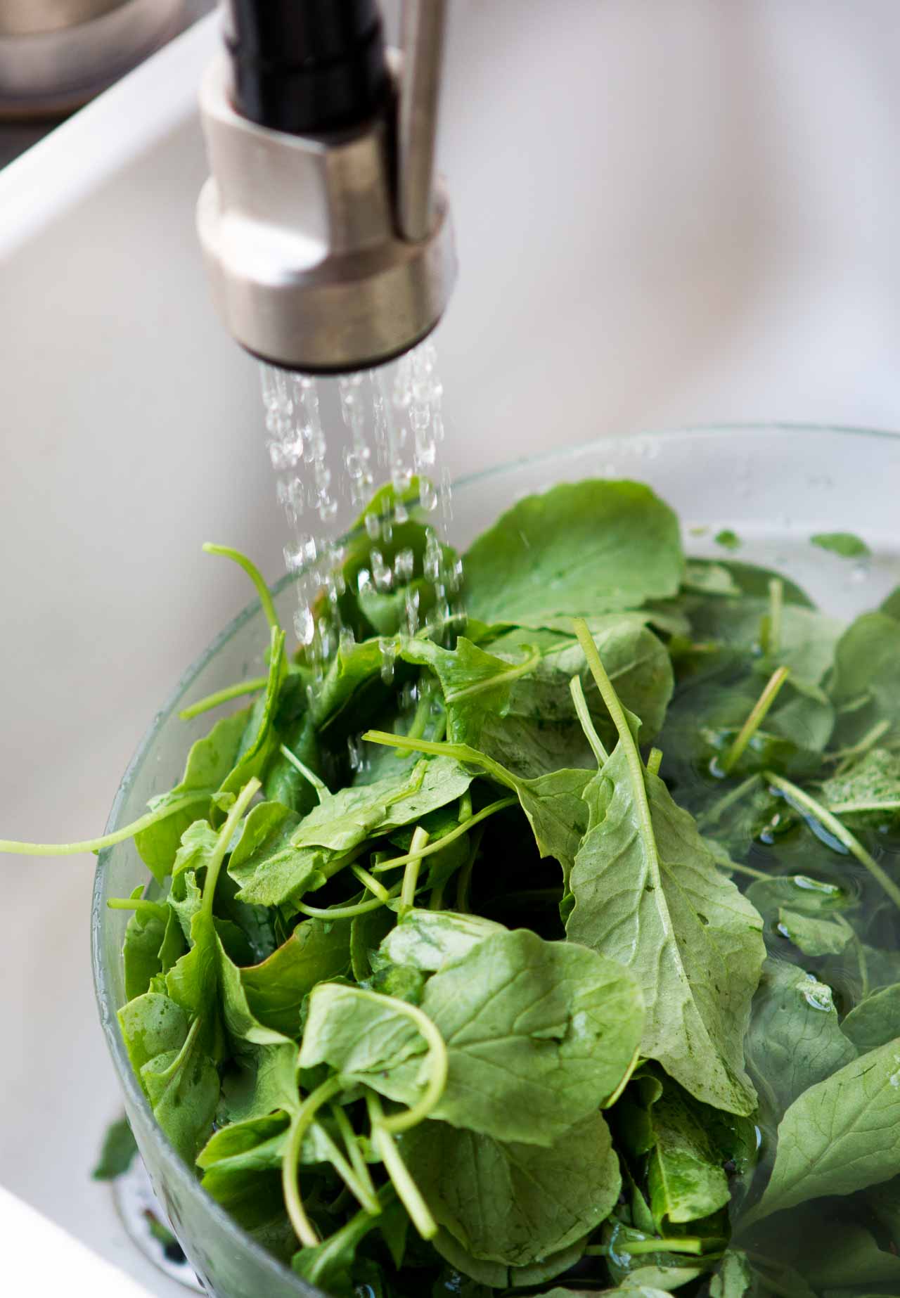 Radish Leaf Pesto David Lebovitz