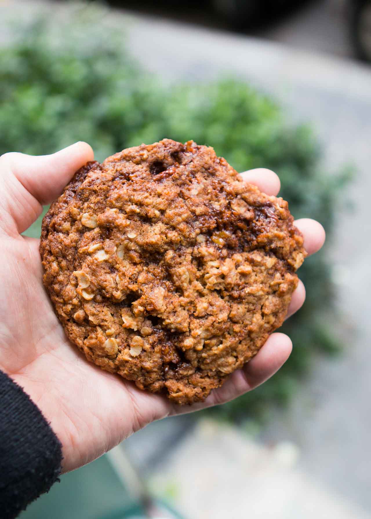 Oatmeal and Pecan Brittle Cookies David Lebovitz