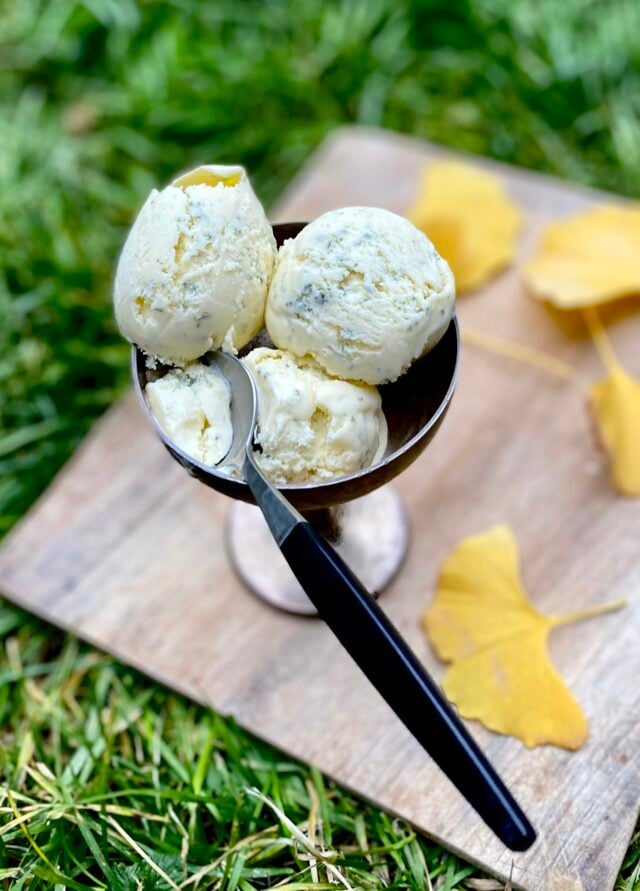 Ice Cream Makers: Buying an Ice Cream Machine - David Lebovitz