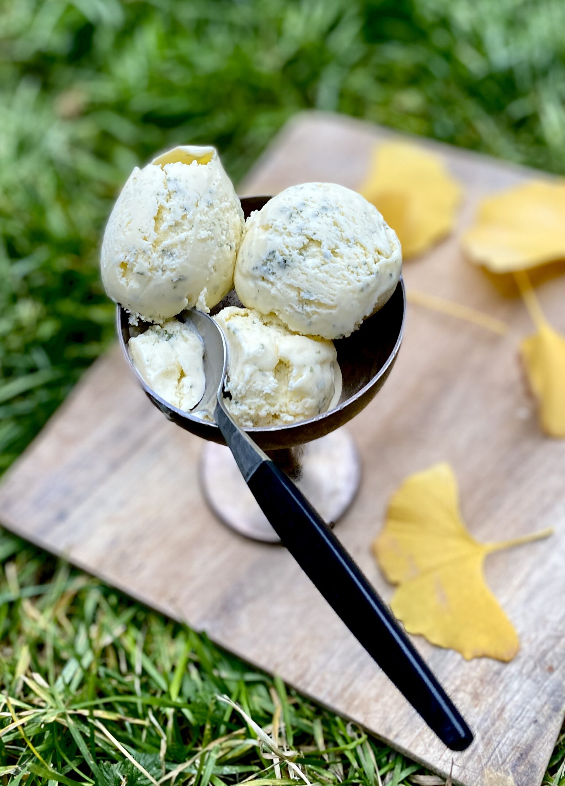 Lemon Verbena Ice Cream David Lebovitz